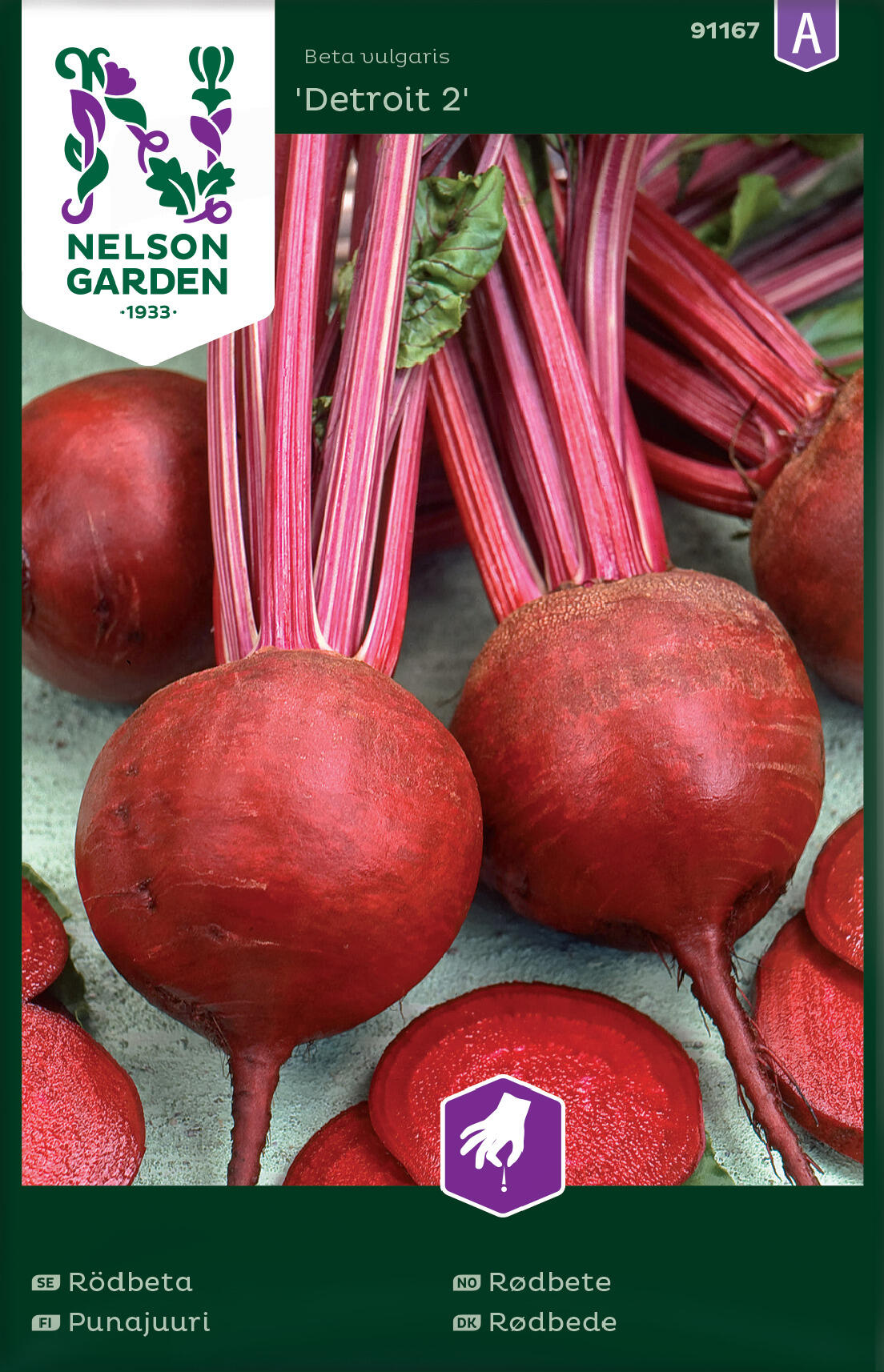 Rødbete 'Detroit 2'